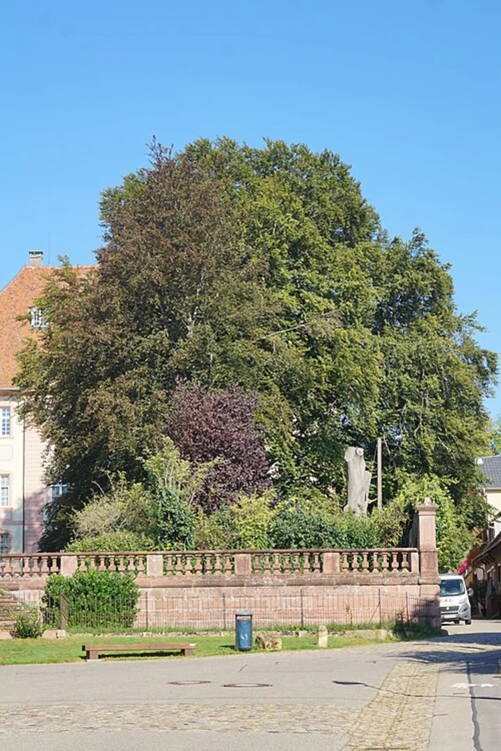 An image depicting the trail Munzingen to Gottenhein Walk and its surrounding area.