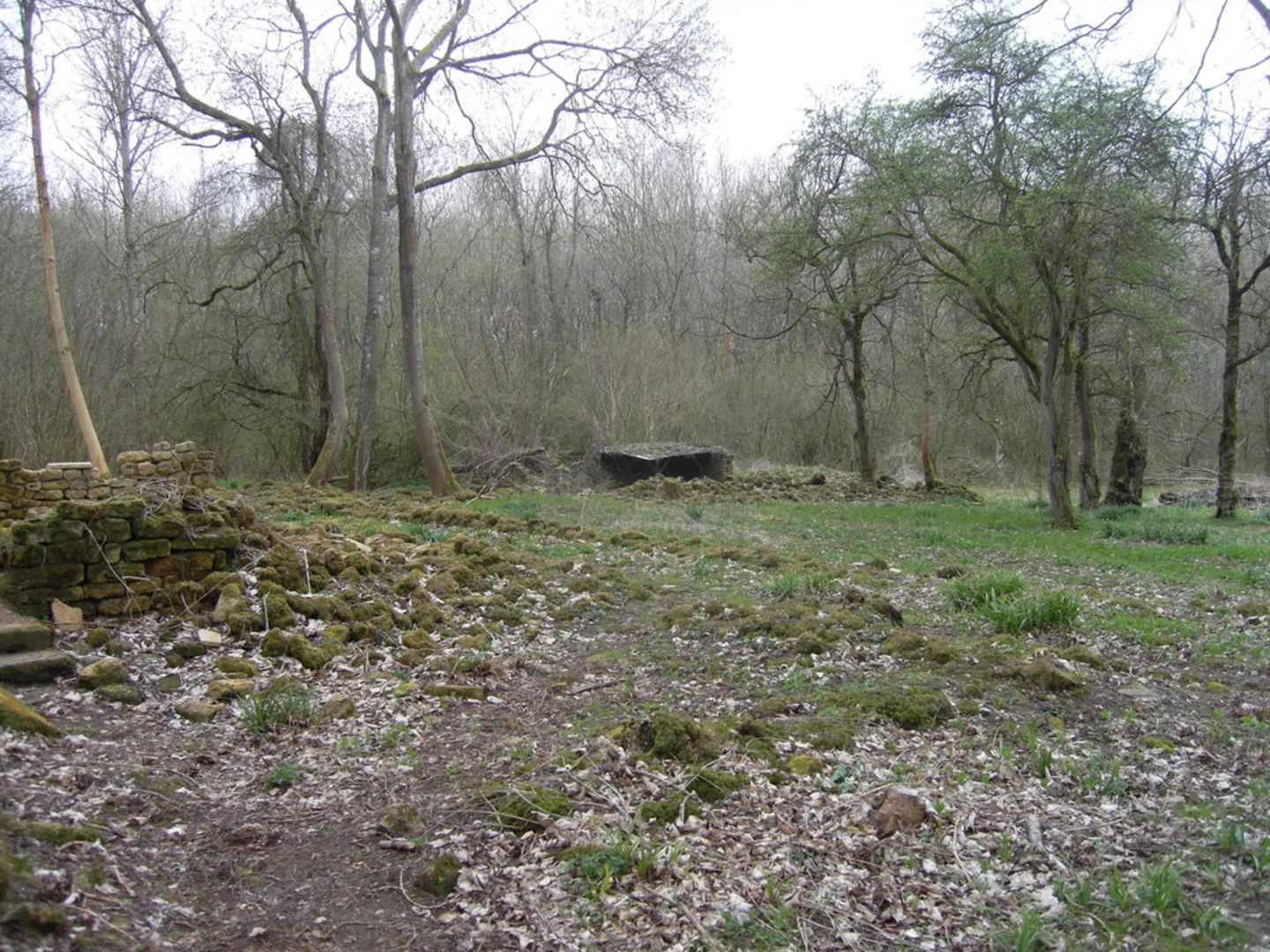 An image depicting the trail Spoonley Wood and Warden's Way and its surrounding area.