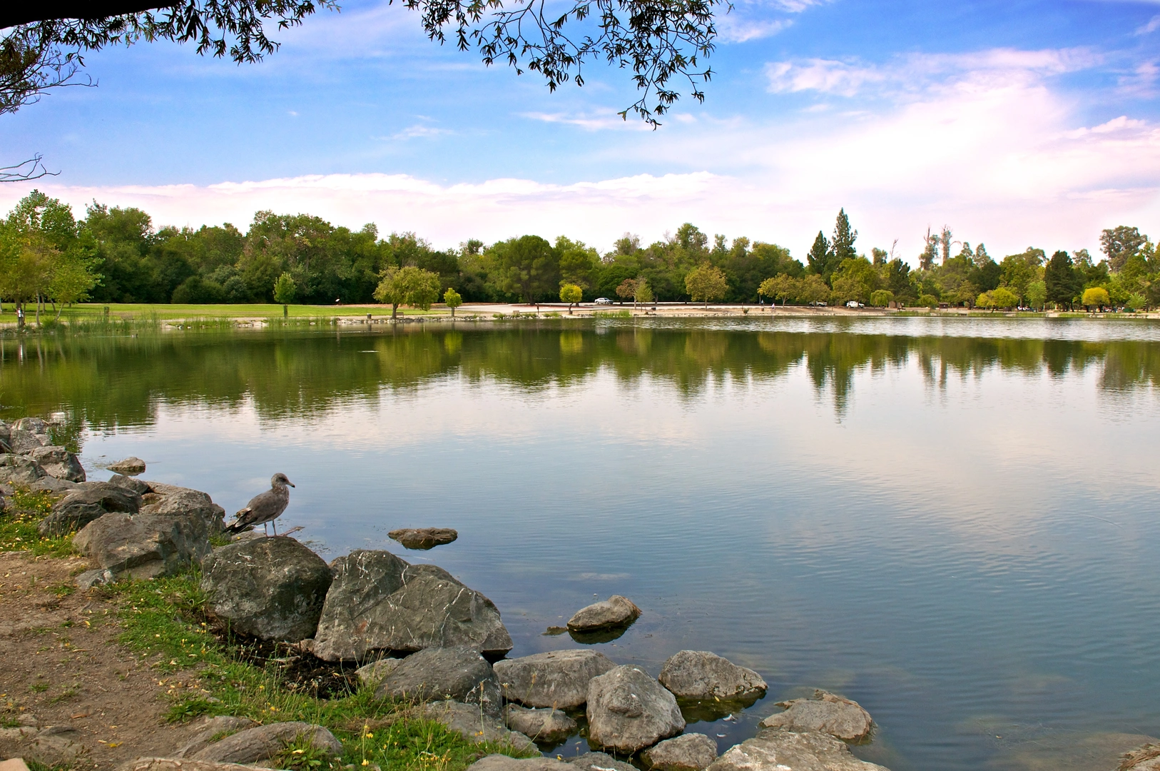 An image depicting the trail Cottonwood Lake and Coyote Creek Trail and its surrounding area.