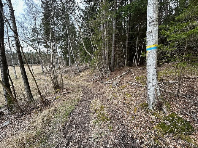 Stockholm Archipelago Trail - Ornö