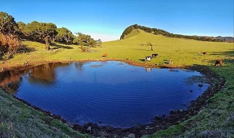 PR 14 Levada dos Cedros