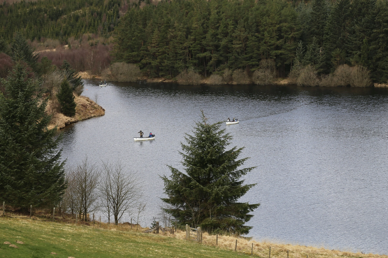 An image depicting the trail Llanidoes Loop and its surrounding area.
