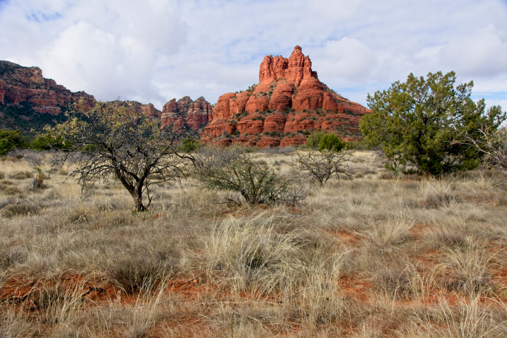 An image depicting the trail Slim Shady Trail and its surrounding area.