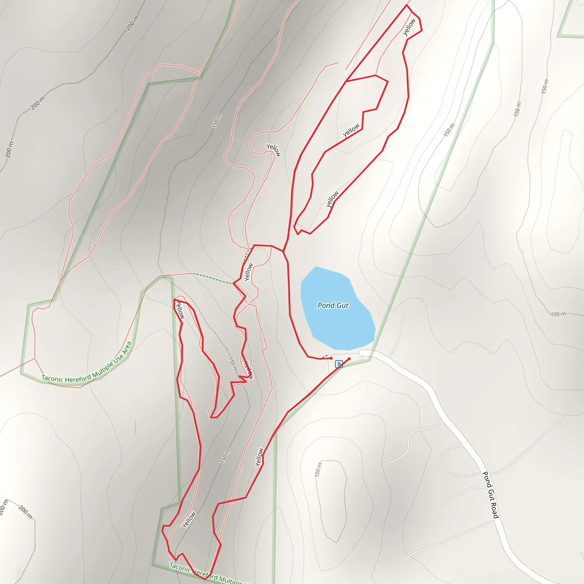 Pond Gut via Yellow Trail mobile static map