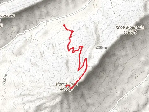 Morris Knob Trail
