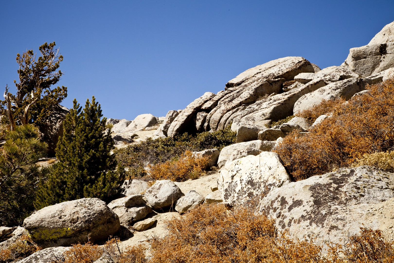An image depicting the trail Kaiser Peak Loop Trail and its surrounding area.
