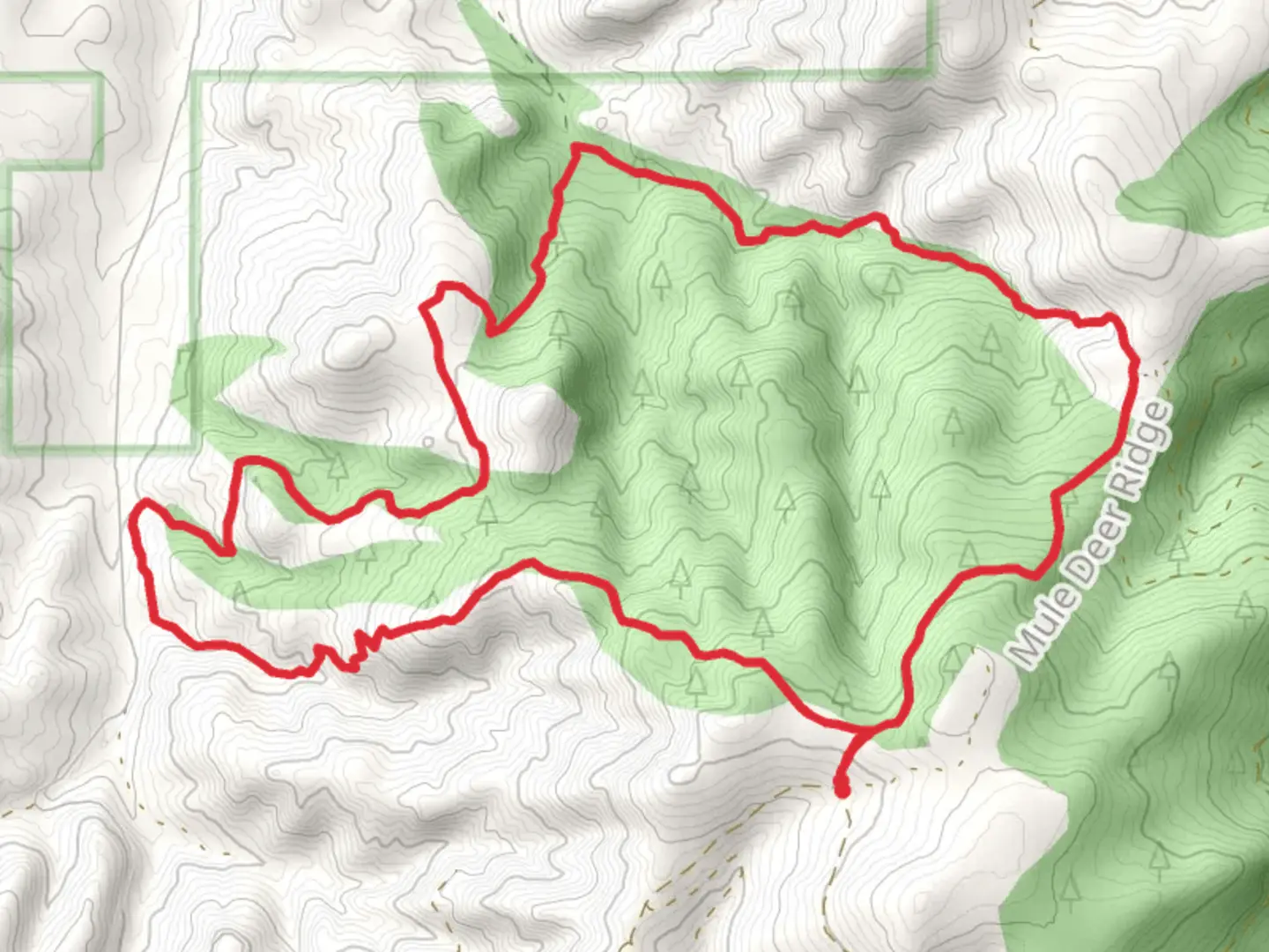 An image depicting the trail Hammer Creek Loop Trail and its surrounding area.