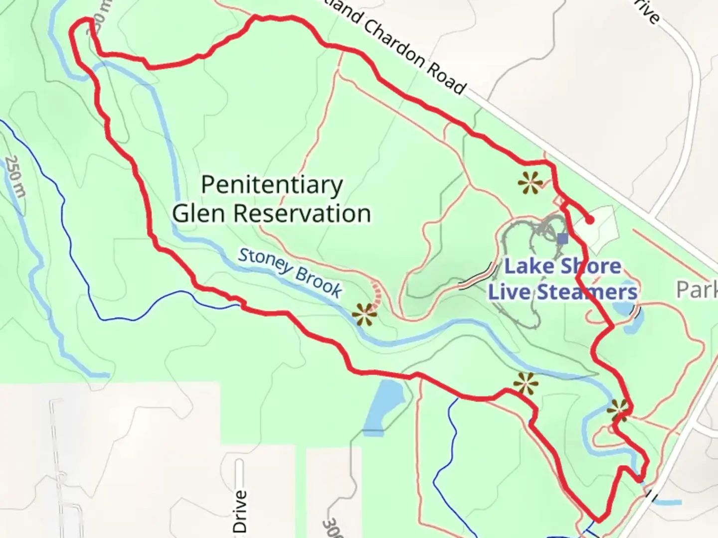 An image depicting the trail Glen Meadow - Red Fox - Rabbit Run Loop Trail and its surrounding area.