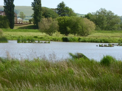 An image depicting the trail Houghton, Coldwaltham and Bignor Loop and its surrounding area.