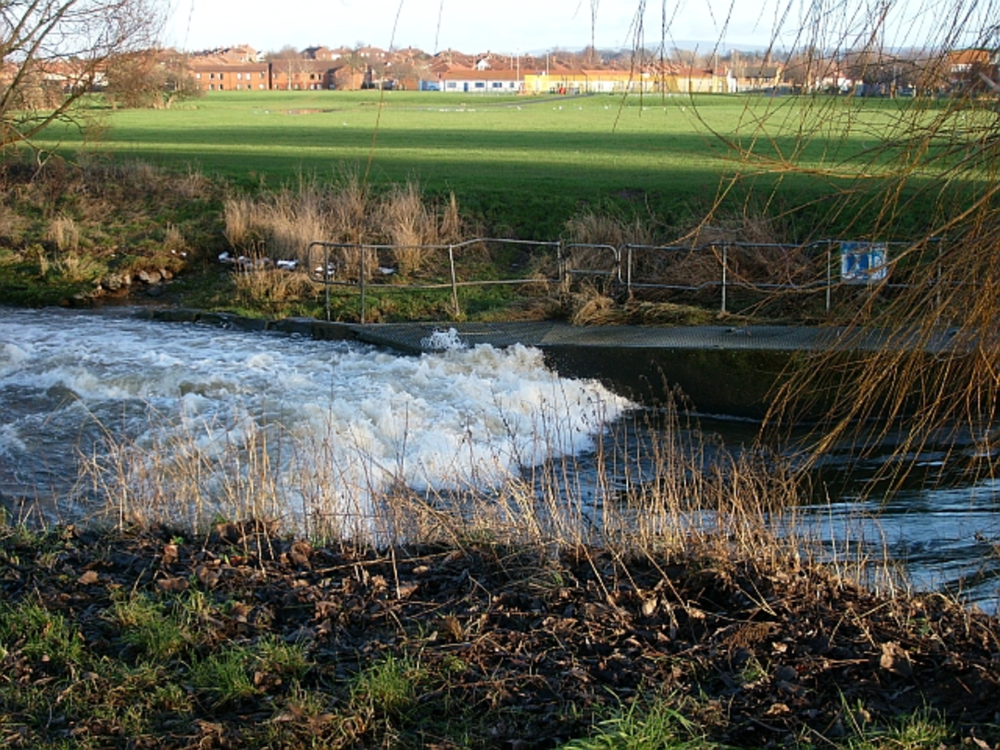 An image depicting the trail Melbourne Park Loop - Carlisle and its surrounding area.