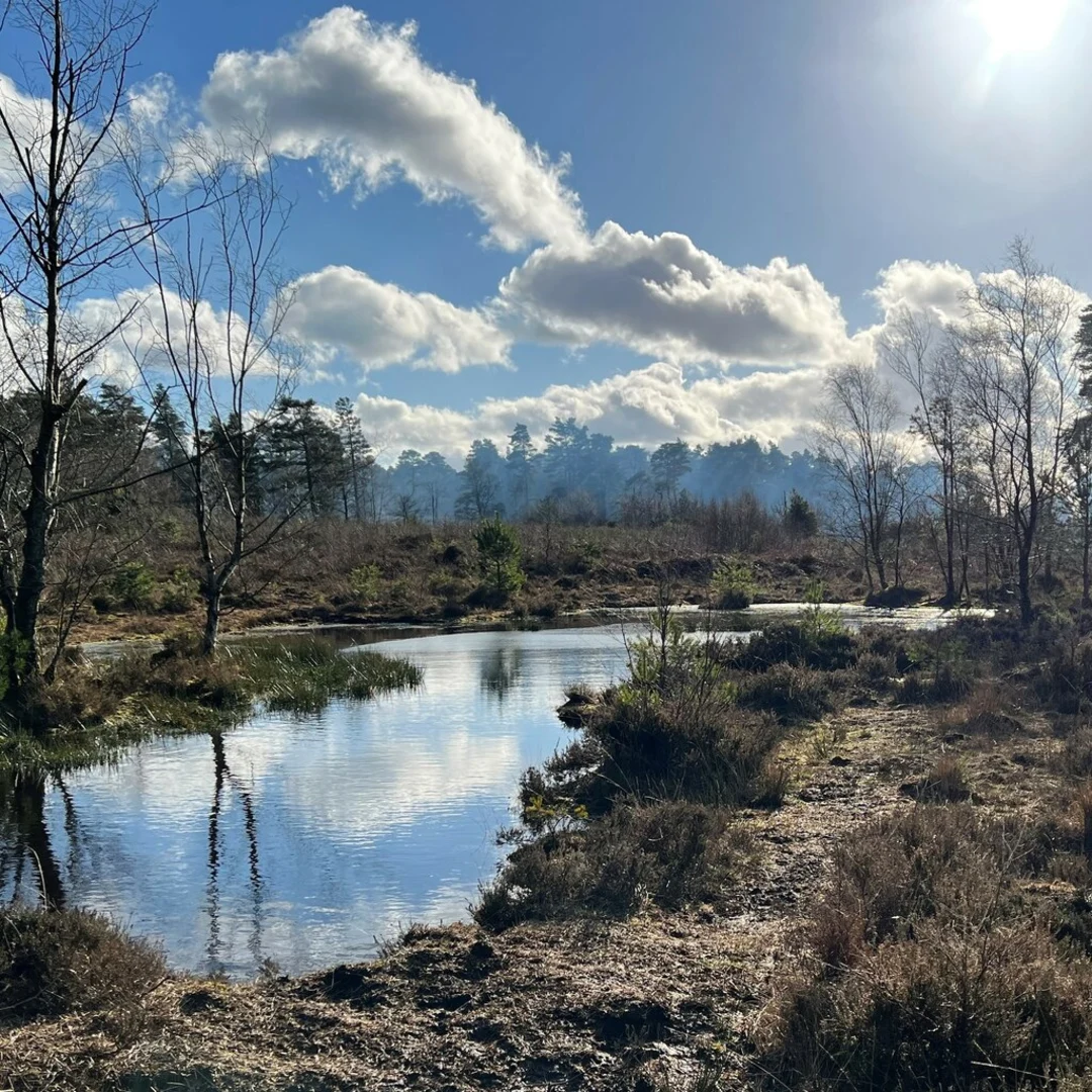 An image depicting the trail Ridge Hill, Alder Wood and Brian Checkley memorial Viewpoint Loop and its surrounding area.