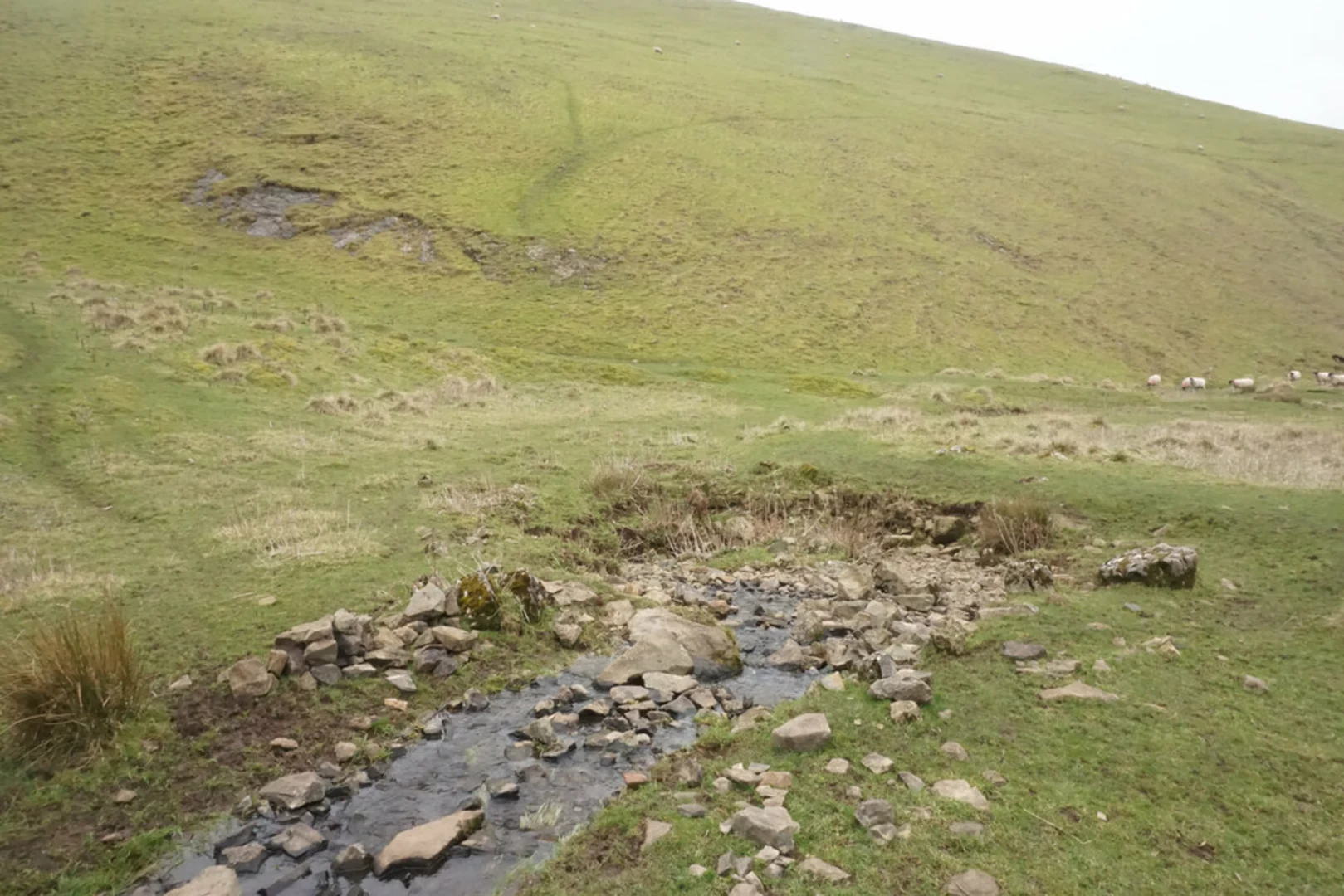 An image depicting the trail The Rivers Way and its surrounding area.