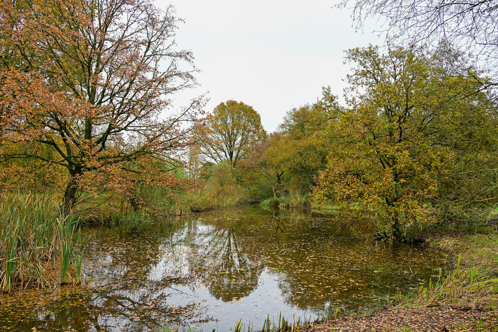 An image depicting the trail Leerdam to Gorinchem via Heukelum, Hooge Veld and River Waal and its surrounding area.