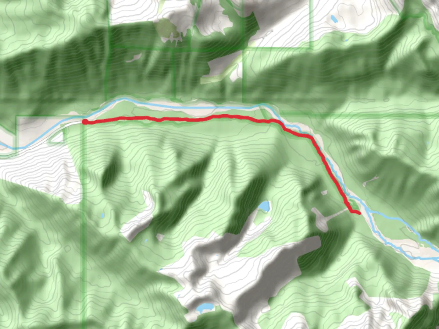 An image depicting the trail Ipsut Creek Campground via Carbon River Trail and its surrounding area.