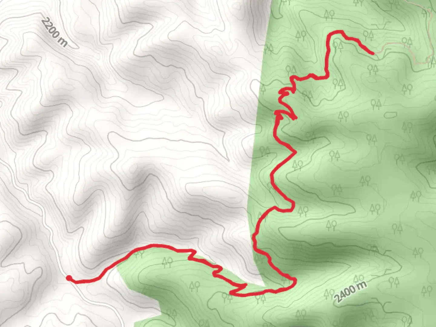 An image depicting the trail Beall Trail Out and Back and its surrounding area.