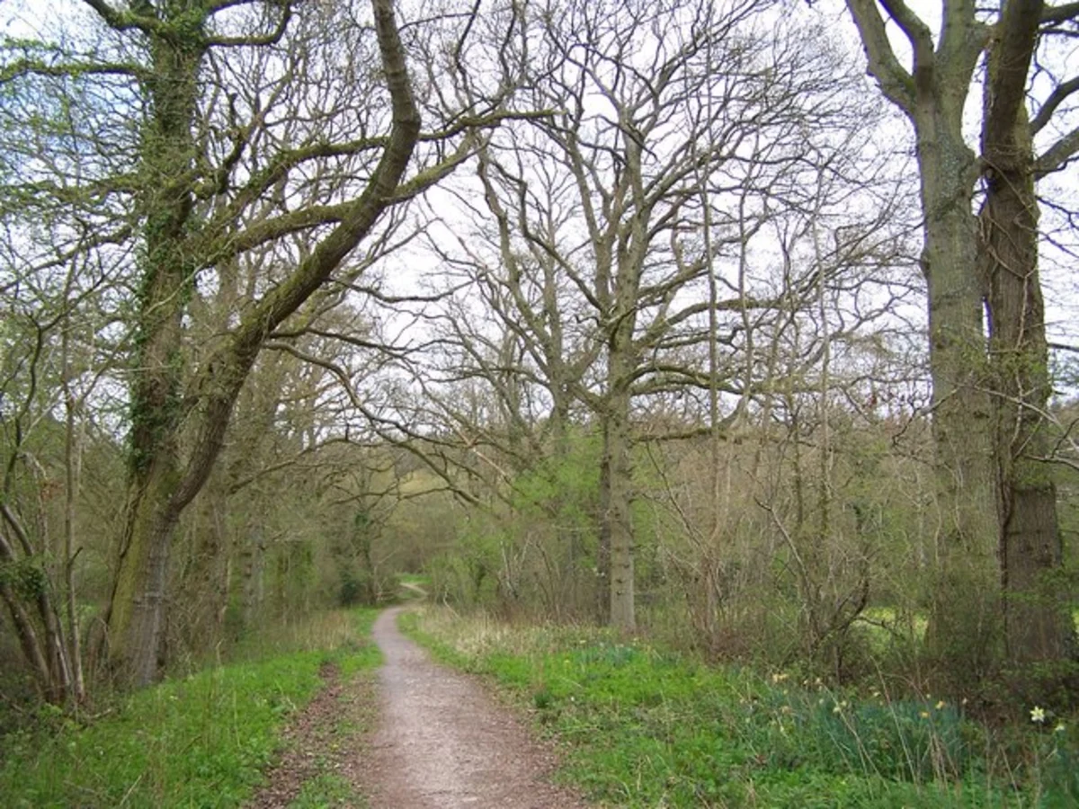 Bentley Wood Loop