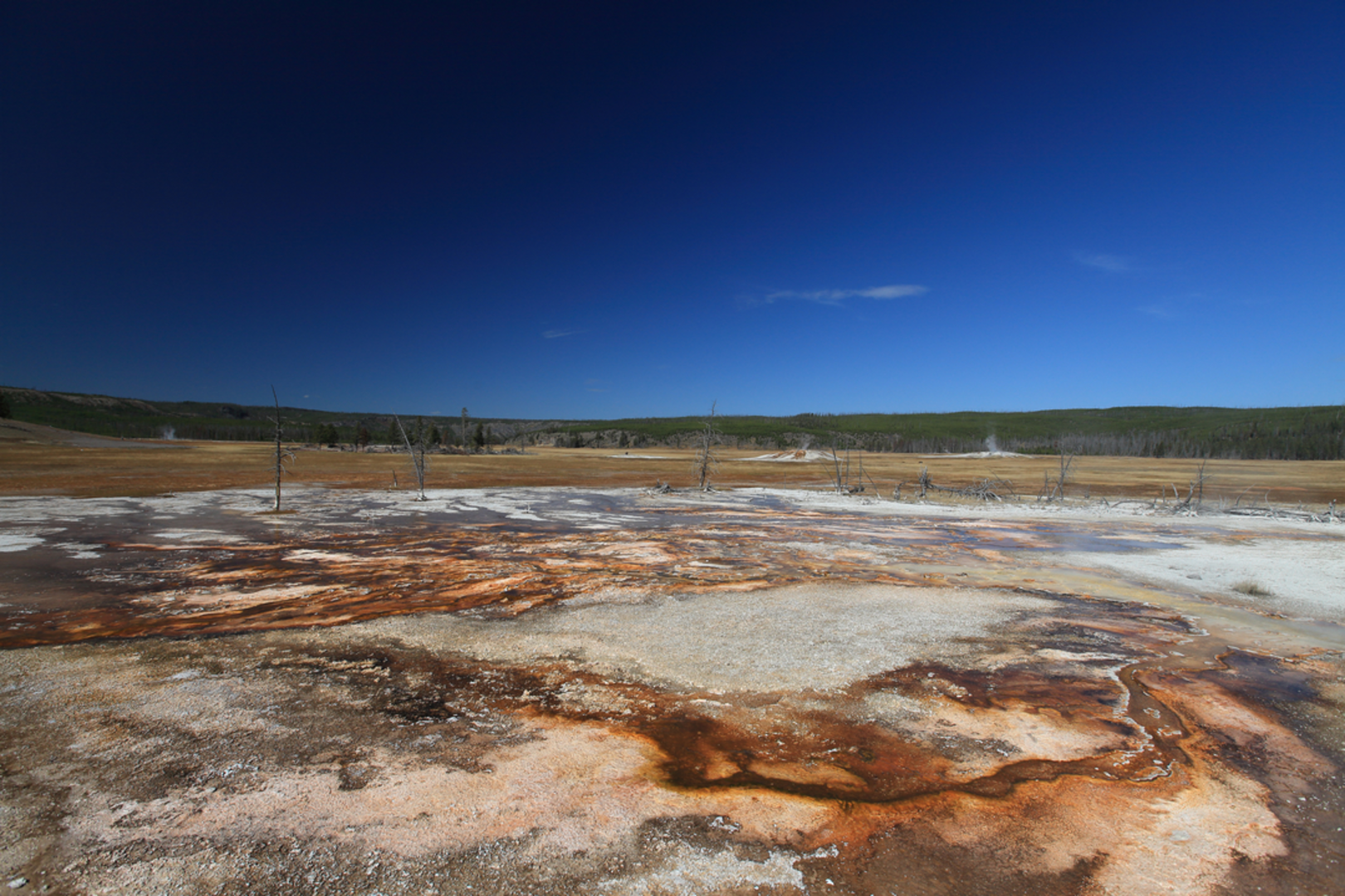 An image depicting the trail Sentinel Meadows Trail and its surrounding area.