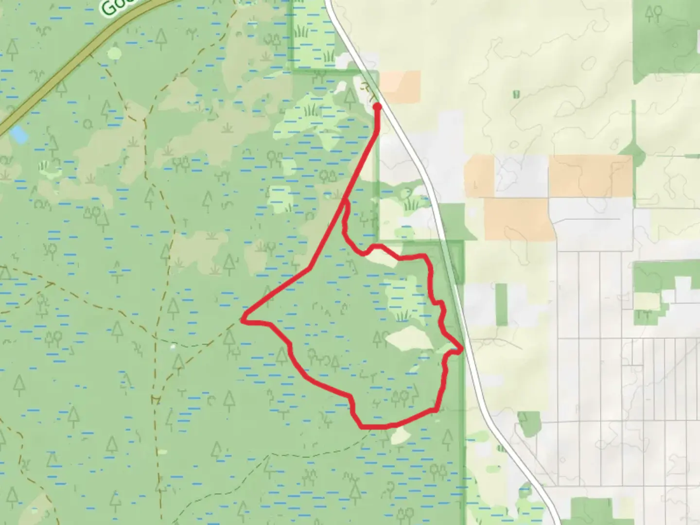 An image depicting the trail Goethe State Forest Loop Trail and its surrounding area.