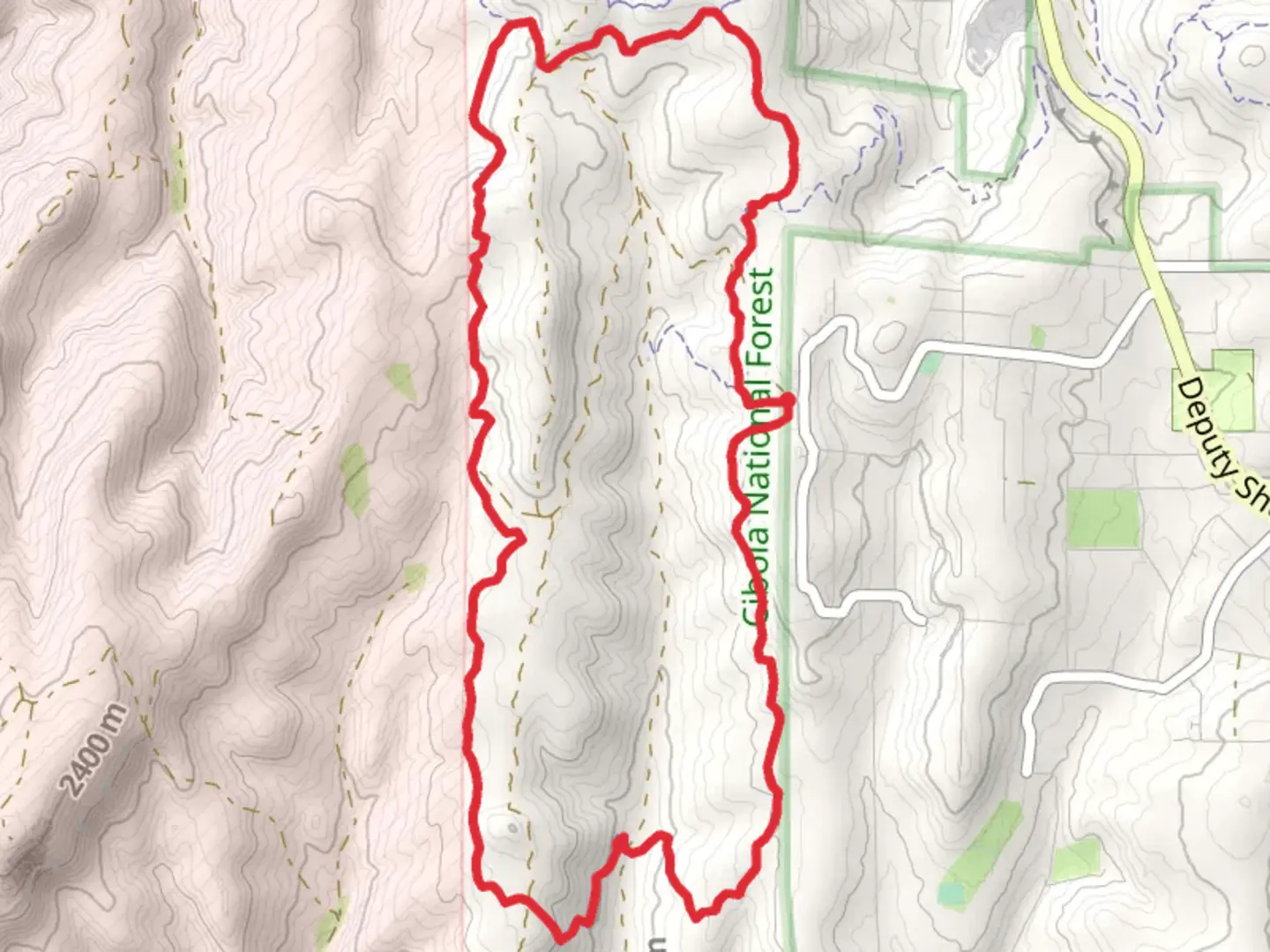 An image depicting the trail Turkey Trot - Cajun Pine Loop and its surrounding area.