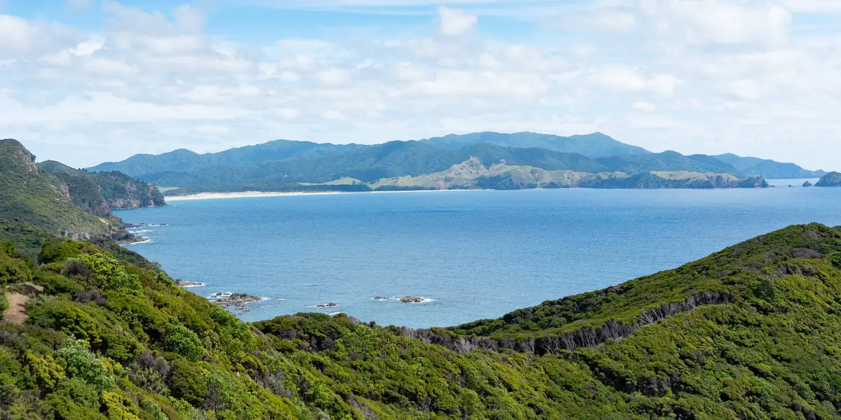 Harataonga Coastal Walkway