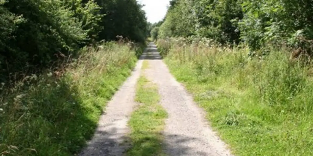 Chambers Farm Wood to Minting return via Gautby