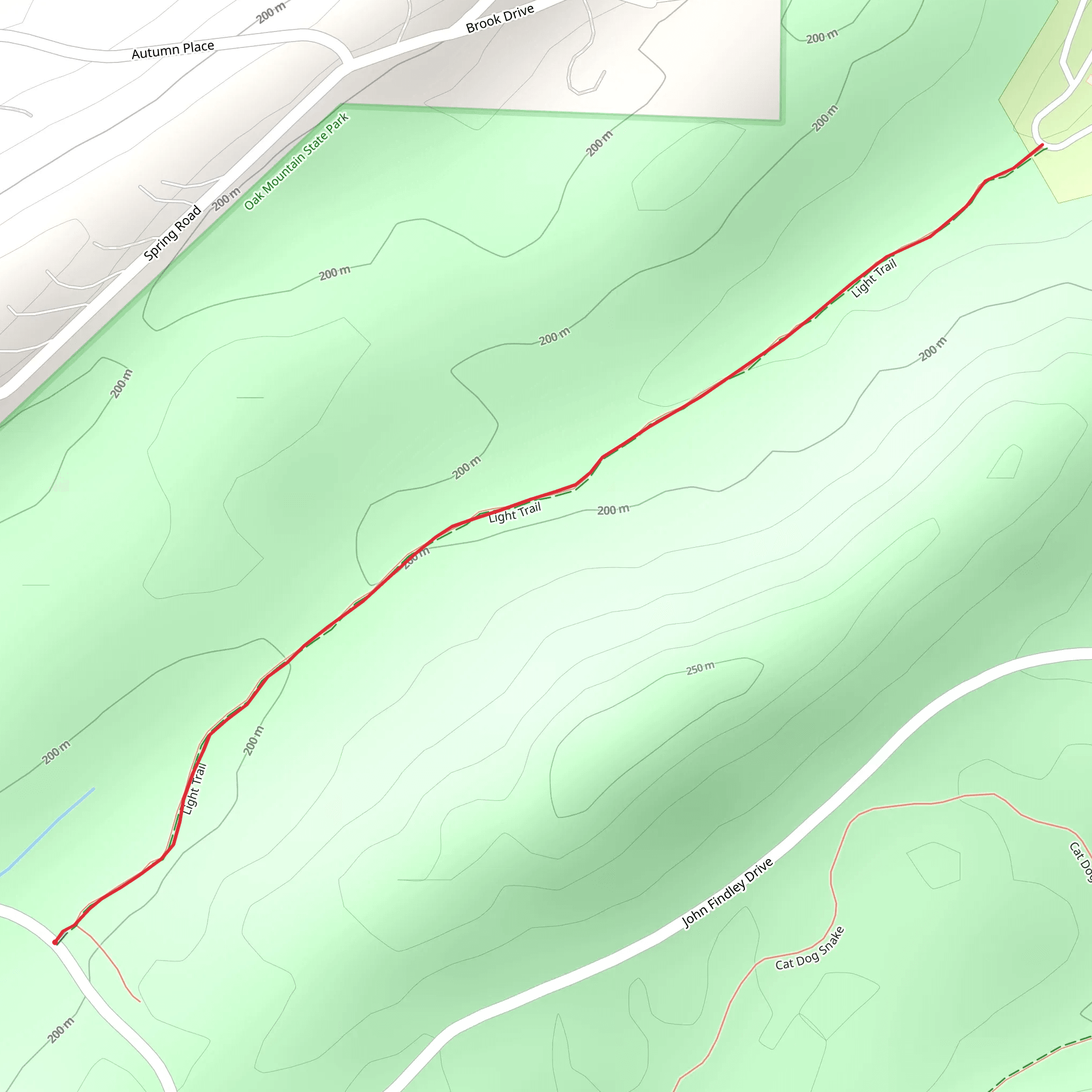 Light Trail mobile static map