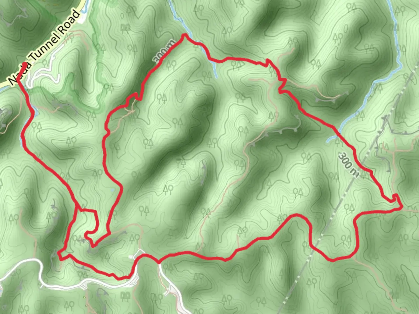 An image depicting the trail Rough Trail and Sheltowee Trace Trail Loop and its surrounding area.