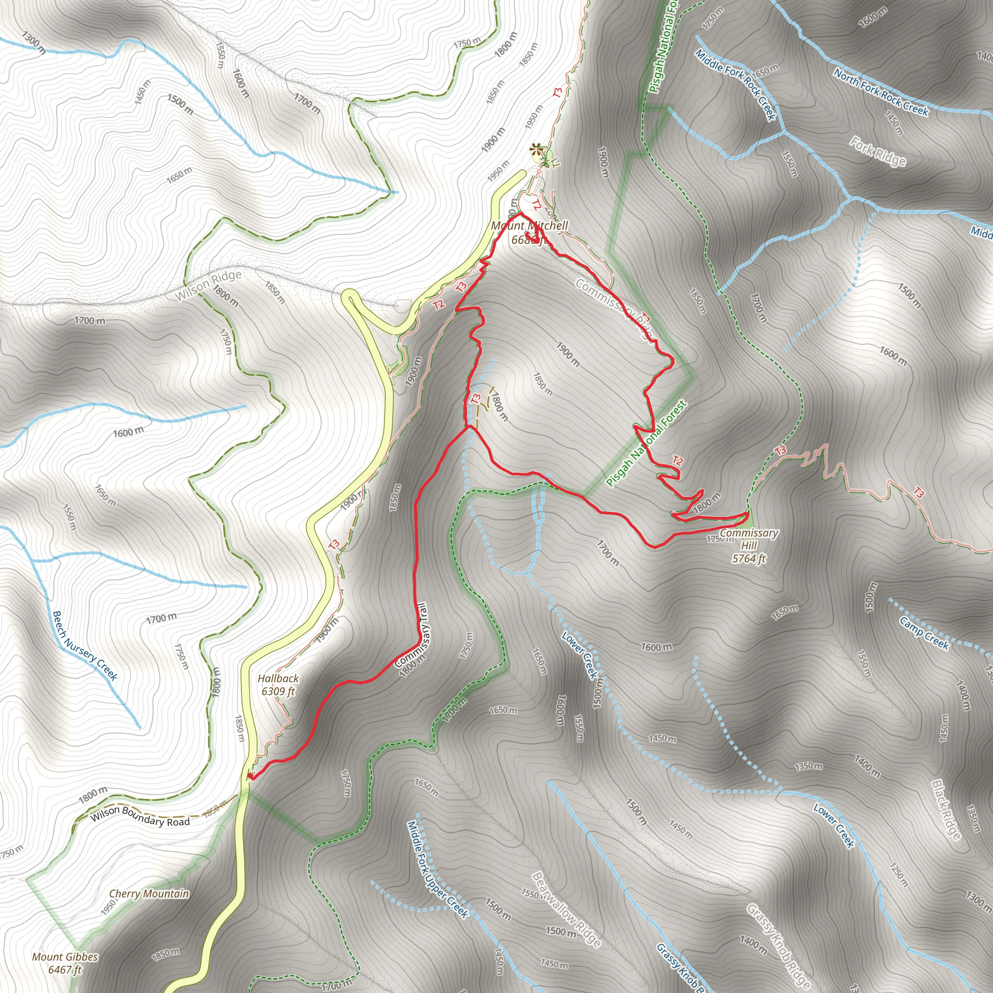 Commissary Hill and Mount Mitchell Loop Trail mobile static map
