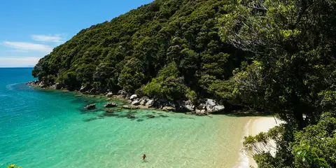 An image depicting the trail Abel Tasman Coastal Track - Bark Bay to Anchorage Bay and its surrounding area.