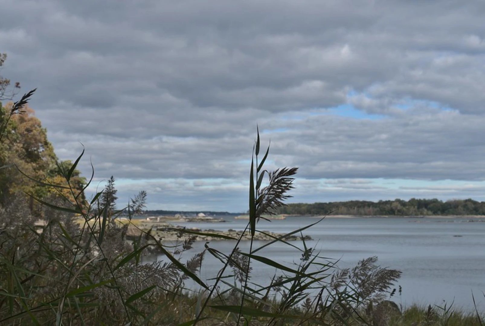 An image depicting the trail Twin Island Loop Trail and its surrounding area.
