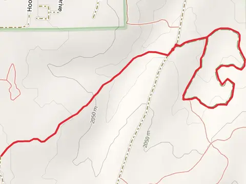Heber Hollow and Pine Loop Trail