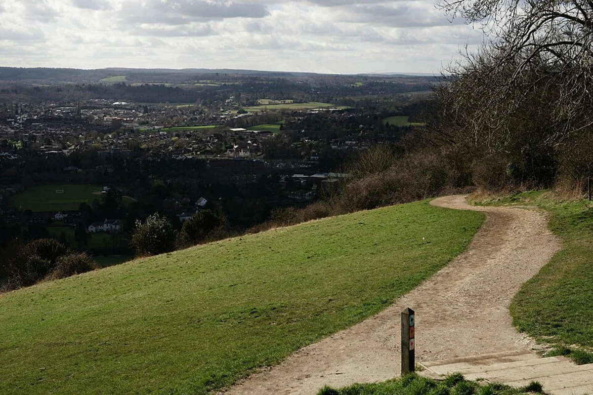 Box Hill and Mickleham Loop