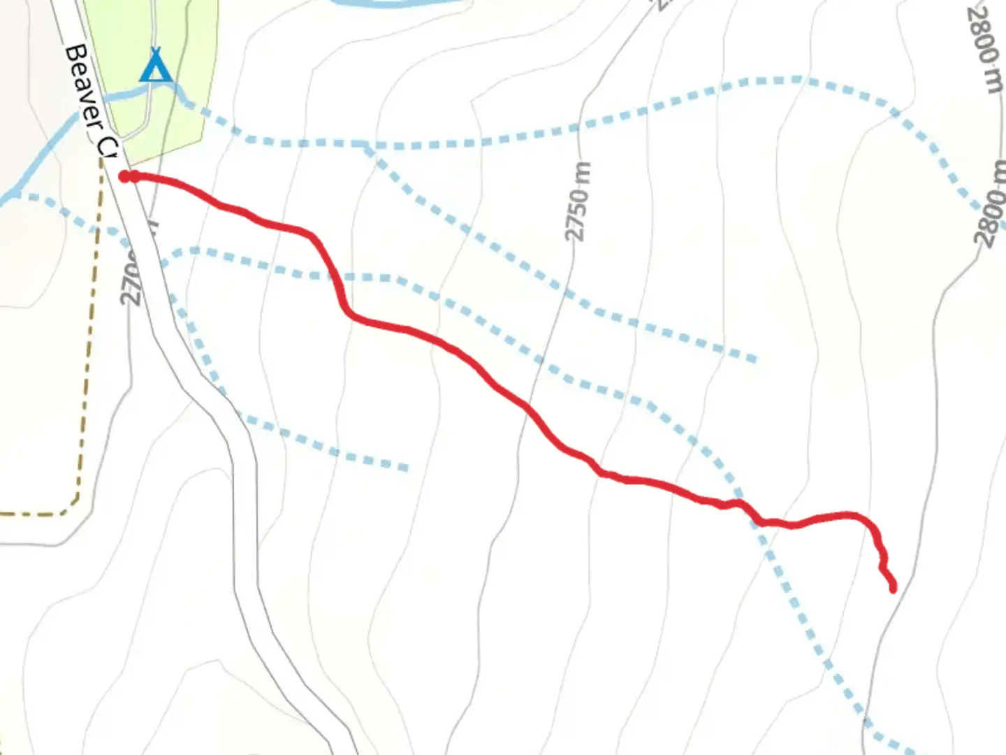 An image depicting the trail Big Tree Trail and its surrounding area.
