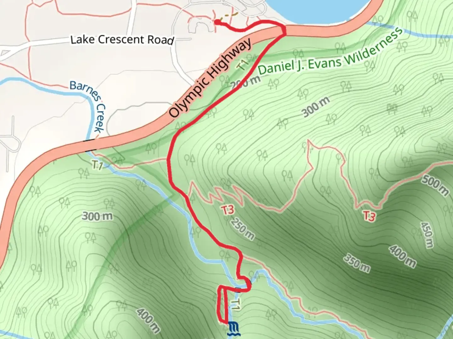 An image depicting the trail Marymere Falls Nature Trail and Marymere Falls Loop and its surrounding area.