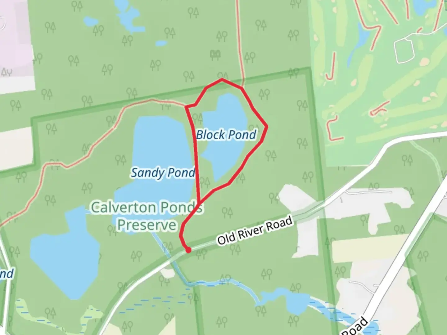 An image depicting the trail Block Pond Loop Trail and its surrounding area.