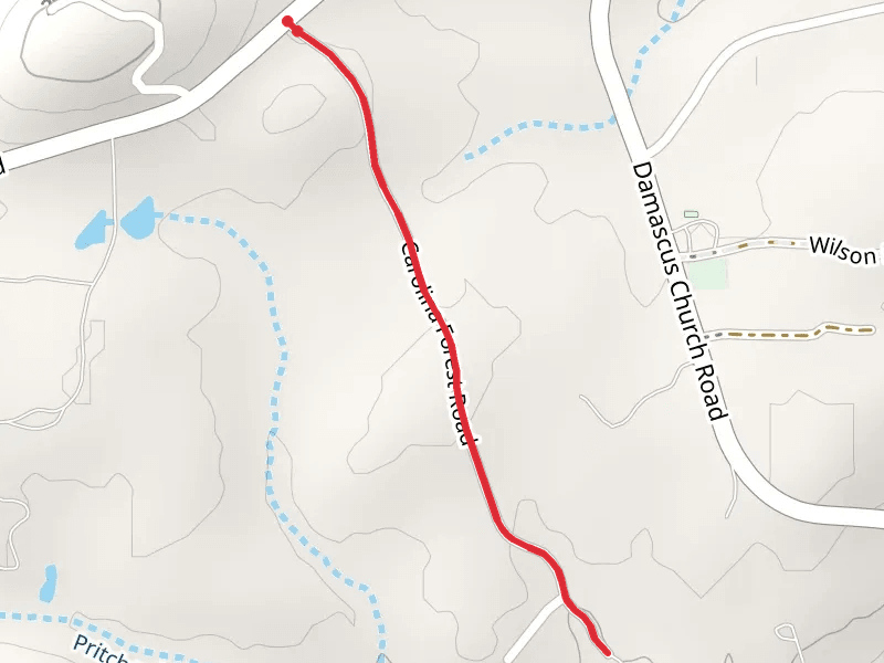 Carolina Forest Road