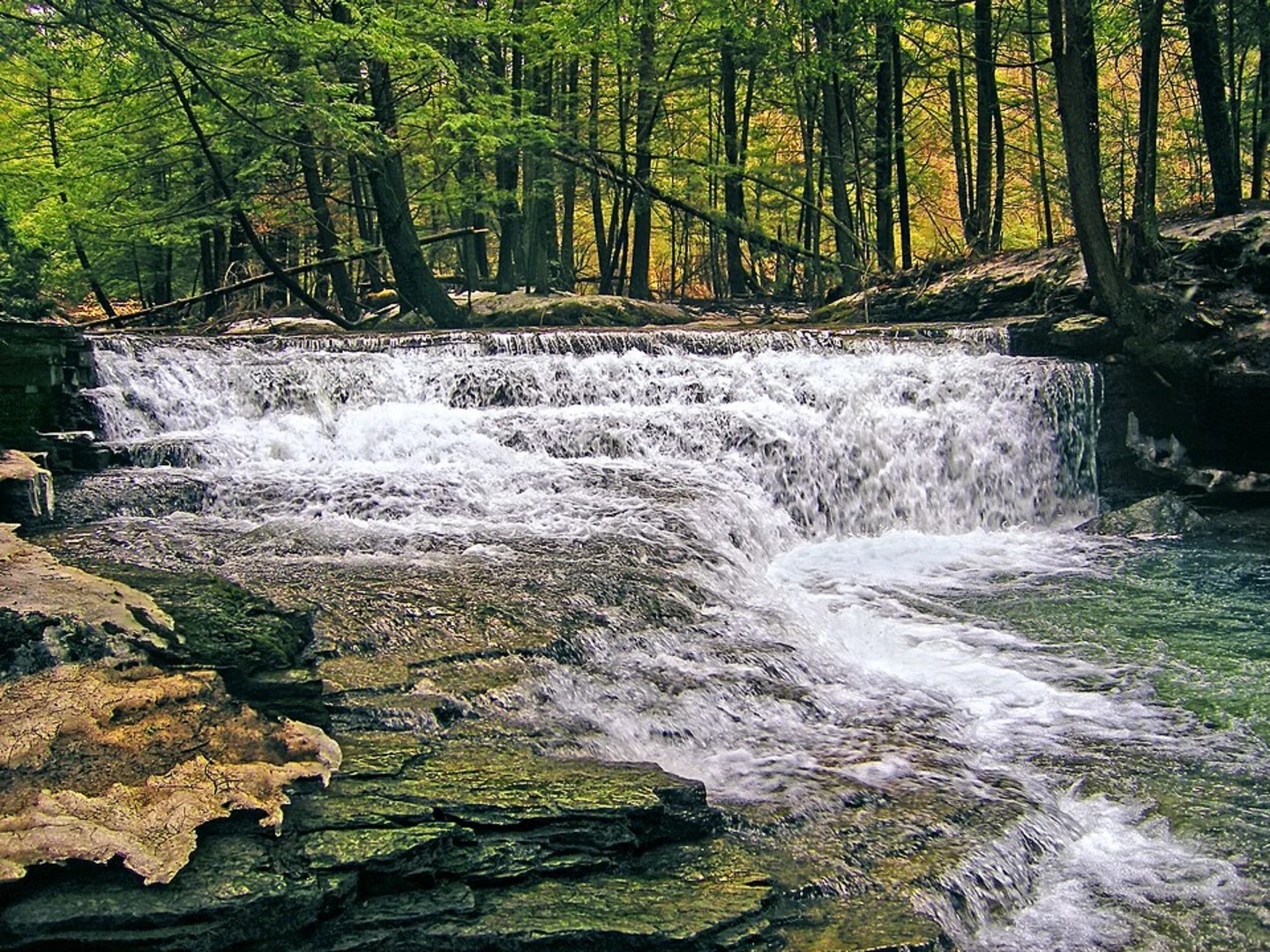 An image depicting the trail Fall Brook Trail via Hemlock Trail and its surrounding area.