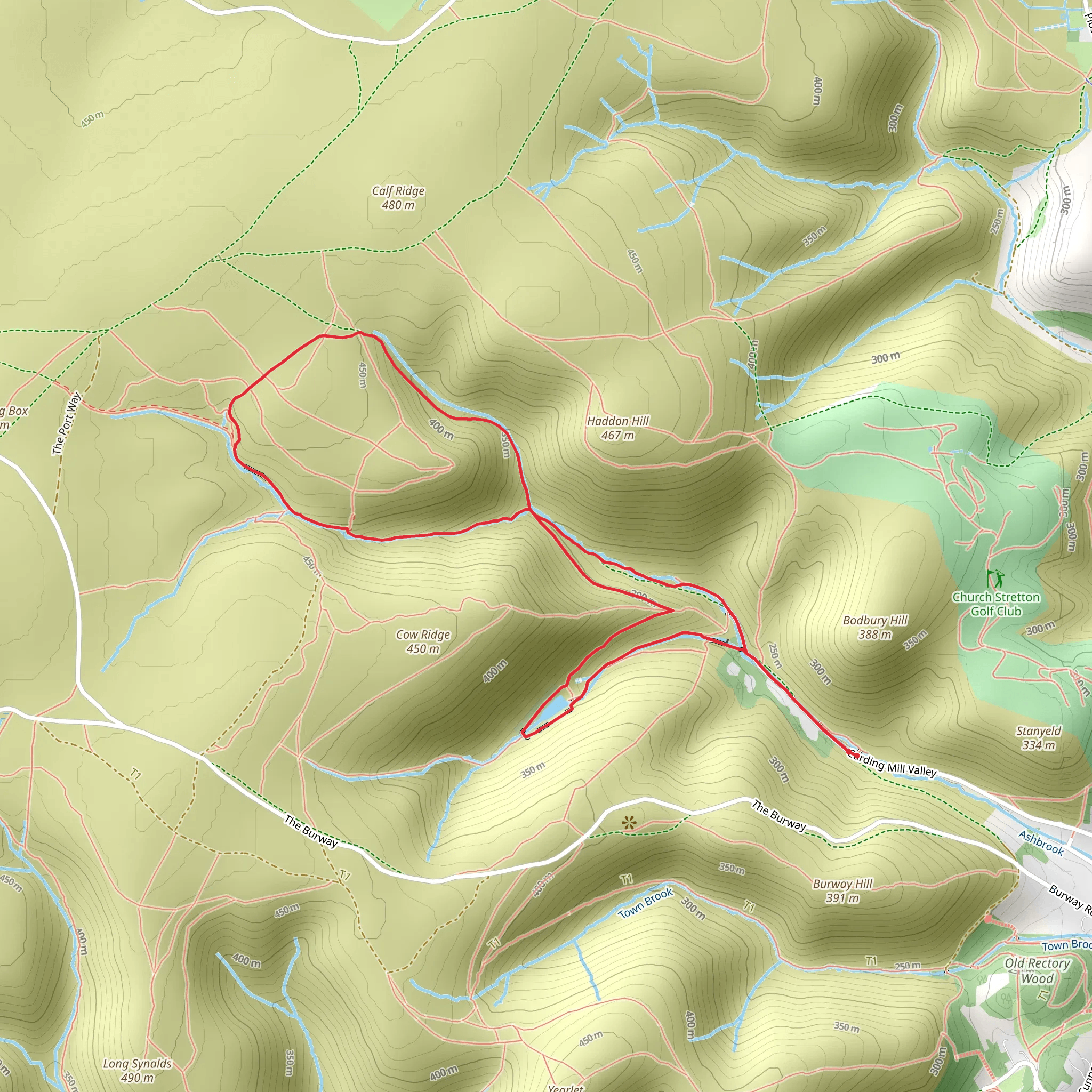 Dr Mott's Road and Reservoir Woods Loop mobile static map