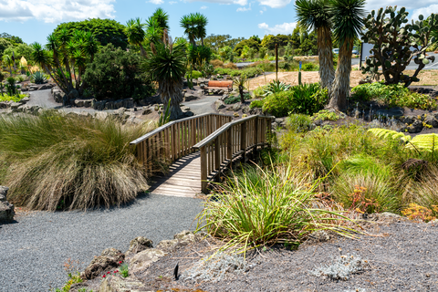 Auckland Botanic Garden Loop