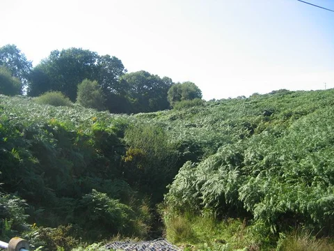 Cramer Gutter and Magpie Hill Loop