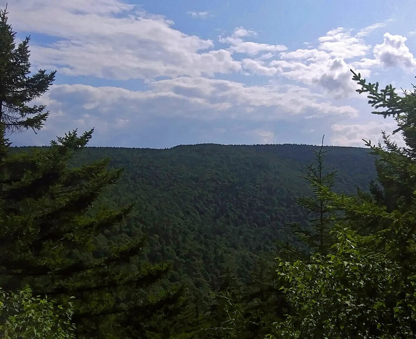 An image depicting the trail Southwest Hunter Mountain Trail and its surrounding area.