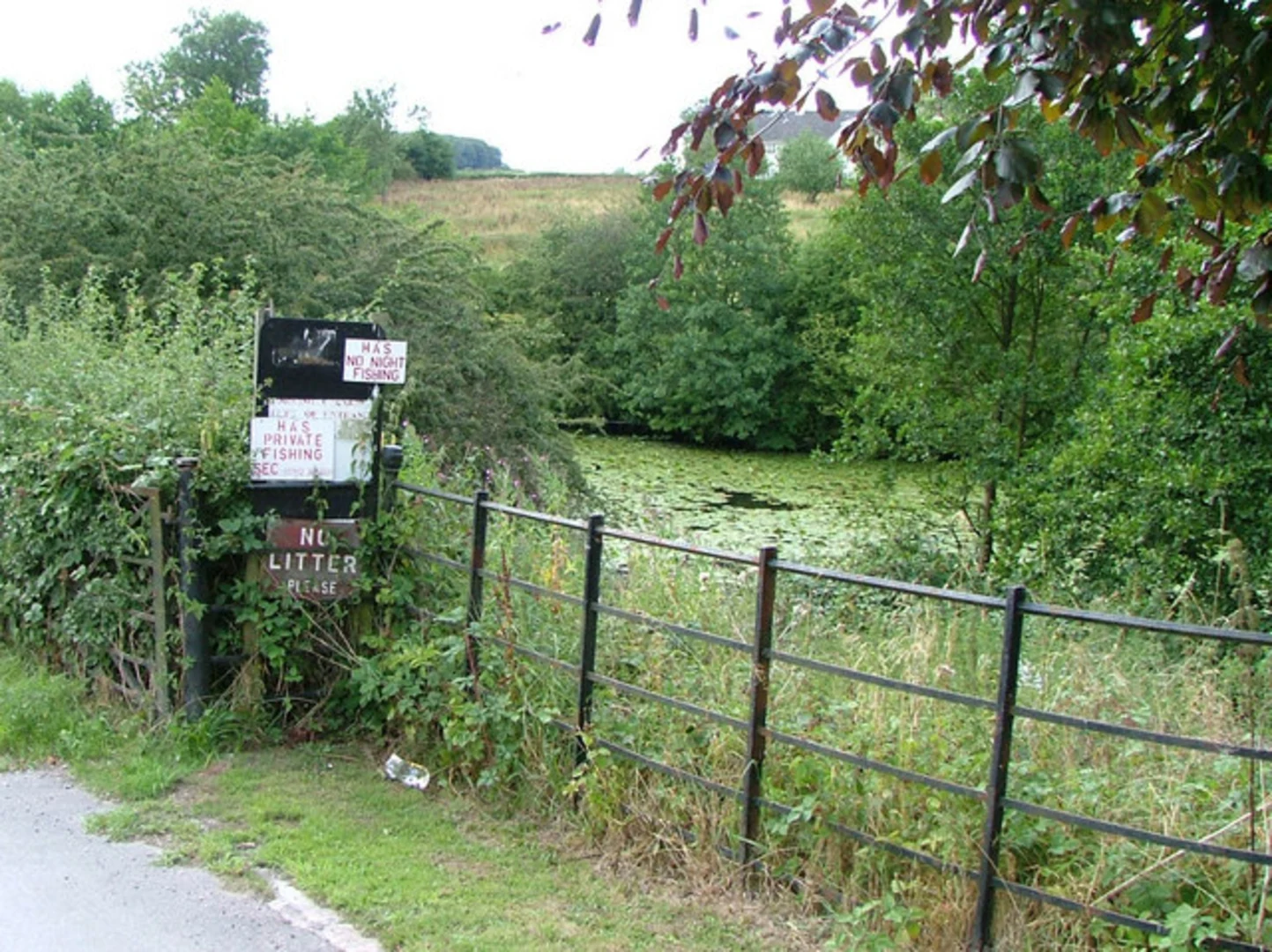 An image depicting the trail Swynnerton Old Park Loop and its surrounding area.