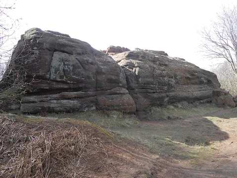 NT Thurstaston Common and Royden Park Loop