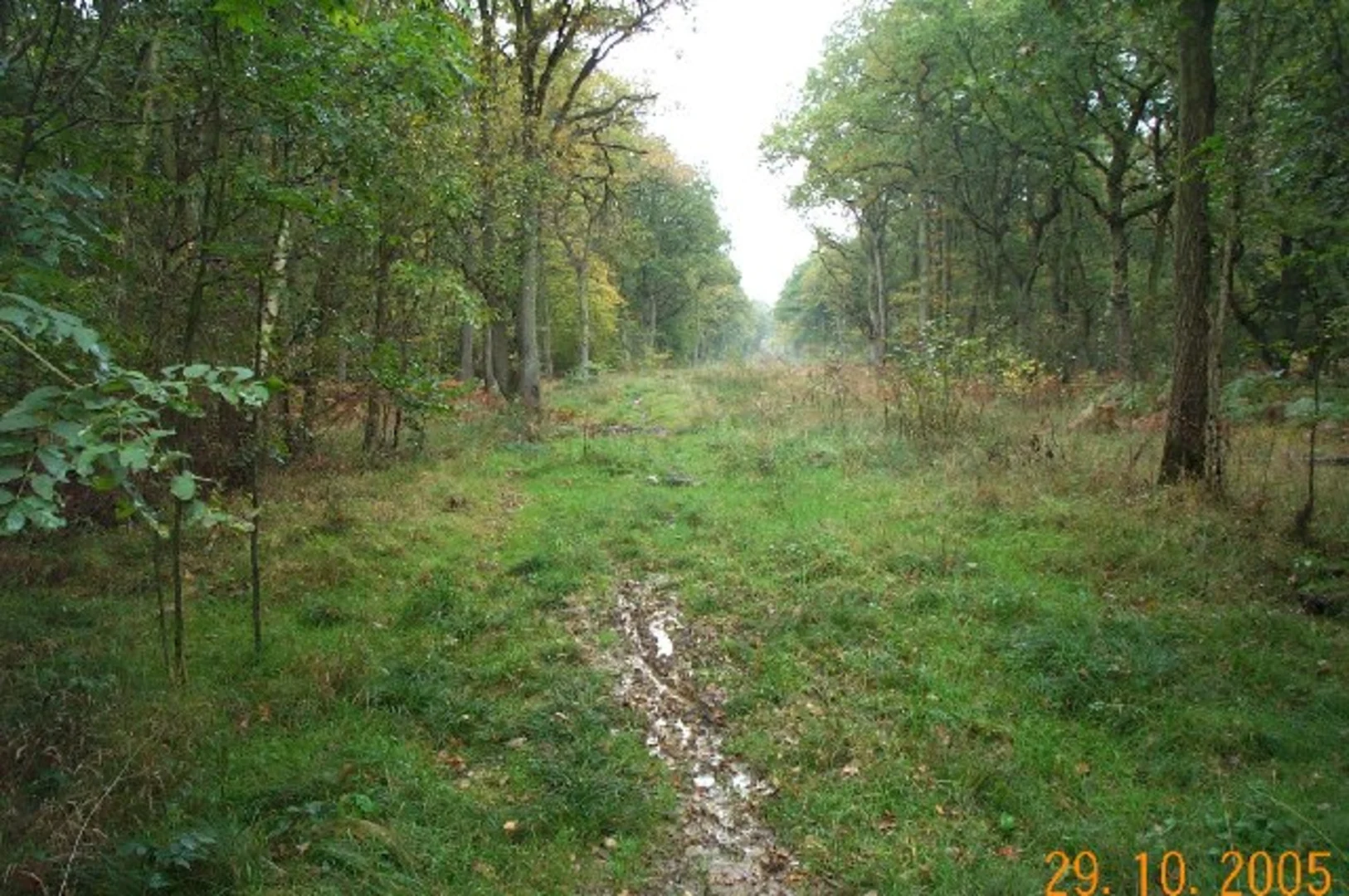 An image depicting the trail Watford and How Wood Loop Walk and its surrounding area.