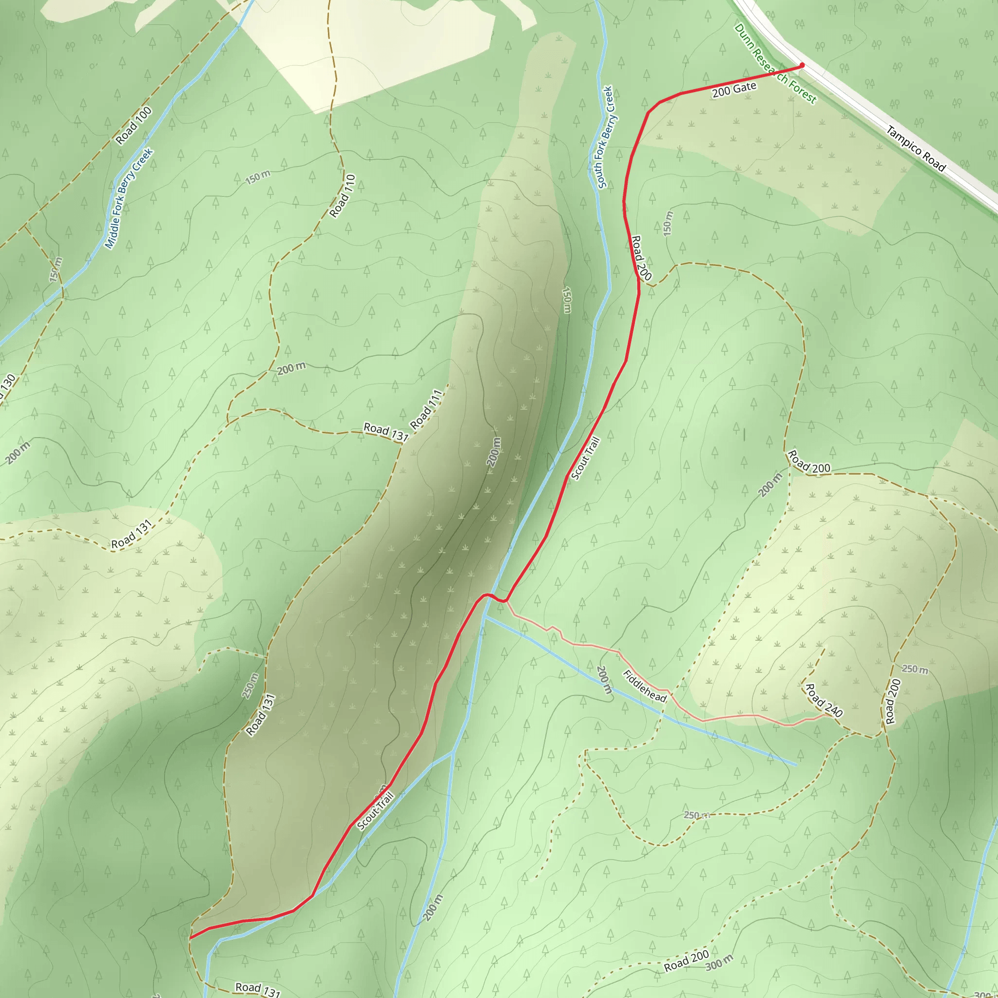 Scout Trail mobile static map