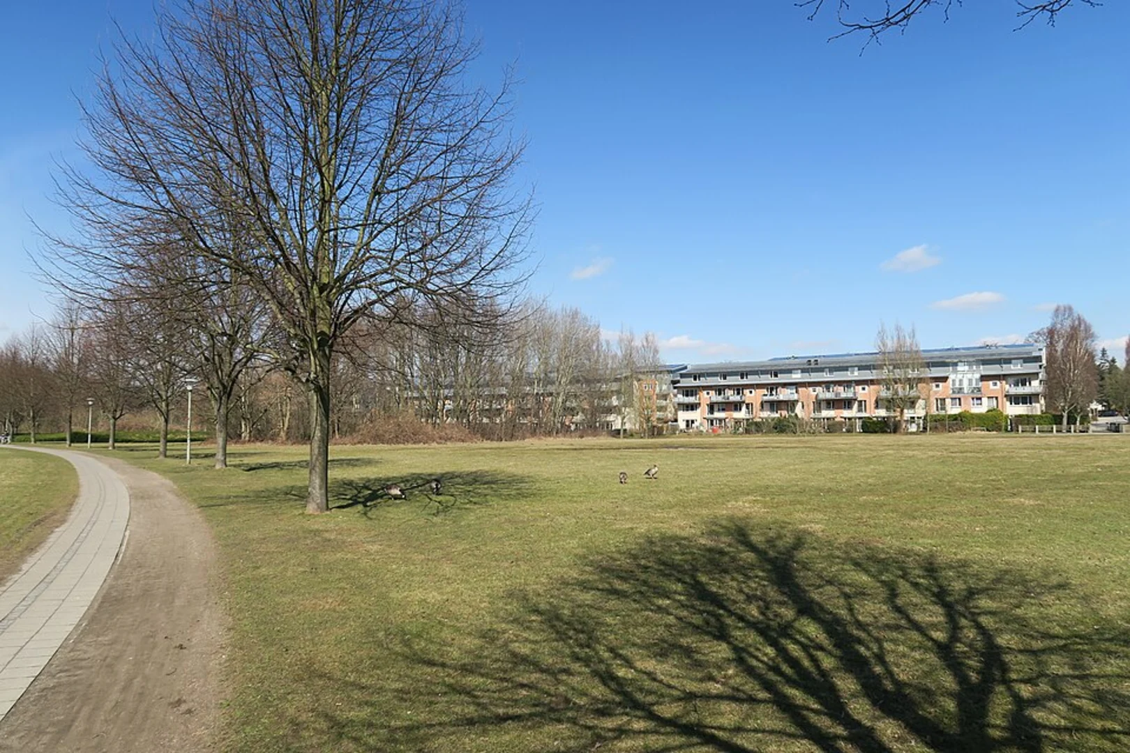 An image depicting the trail Hooksieler Tief via Stoertebekerweg and its surrounding area.