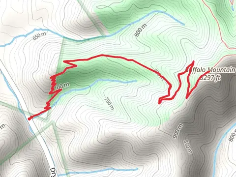 Buffalo Mountain via Lone Oak Trail