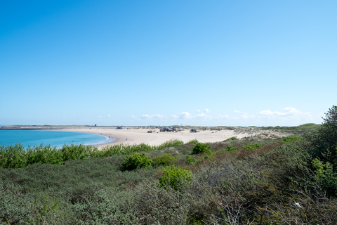 Maassluis to Hook of Holland via De Oranjeplassen and Staelduinse Bos