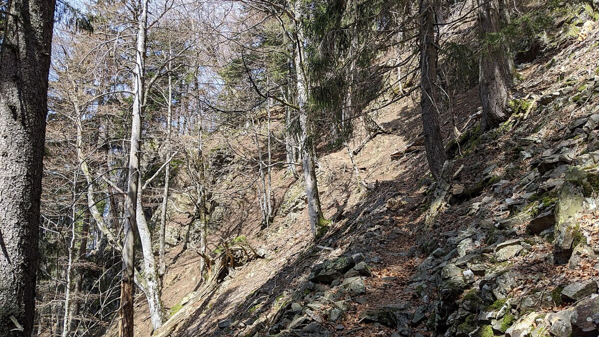 An image depicting the trail Alpiner Pfad and its surrounding area.