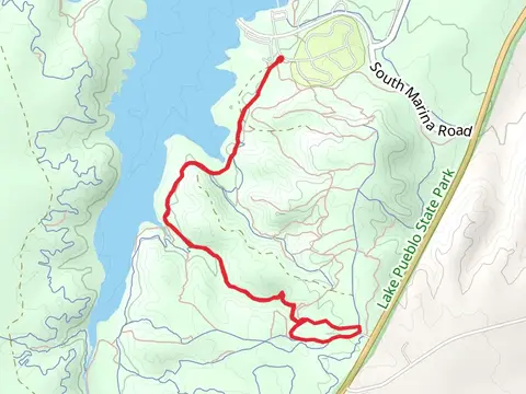 South Shore, Broken Hip and Dead Dog